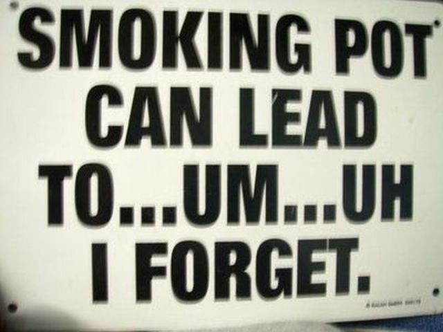 Bildschirmarbeiter - Picdump 05.11.2010