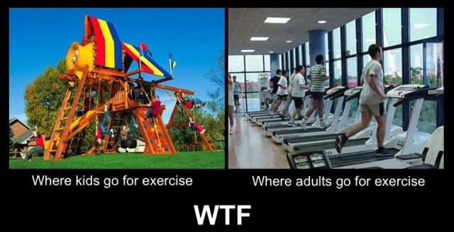 Bildschirmarbeiter - Picdump 05.11.2010