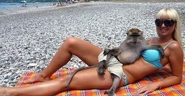 Bildschirmarbeiter - Picdump 05.11.2010