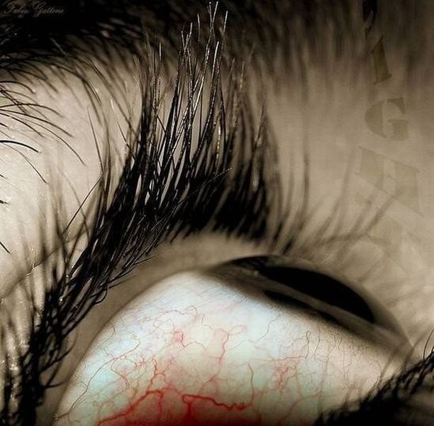 Bildschirmarbeiter - Picdump 05.11.2010