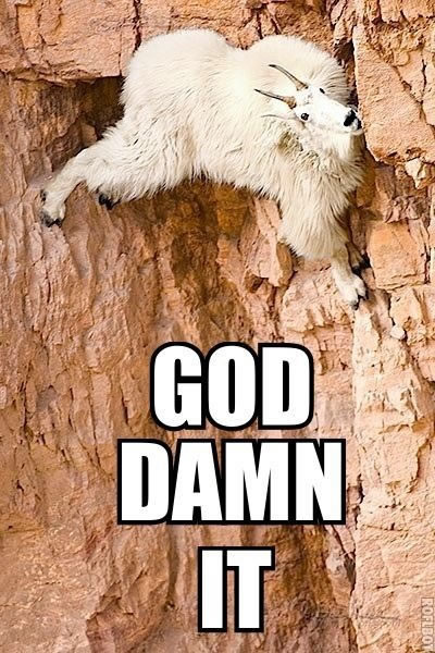 Bildschirmarbeiter - Picdump 05.11.2010