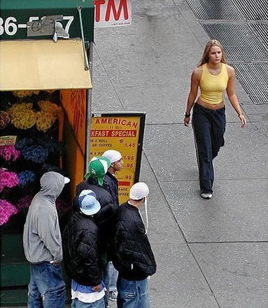 Bildschirmarbeiter - Picdump 05.11.2010