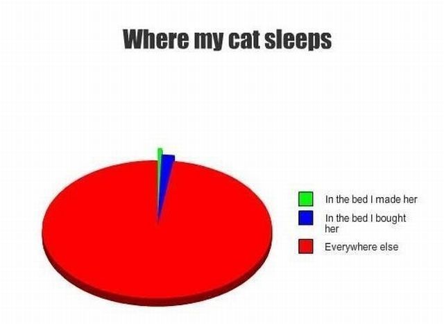 Bildschirmarbeiter - Picdump 12.11.2010