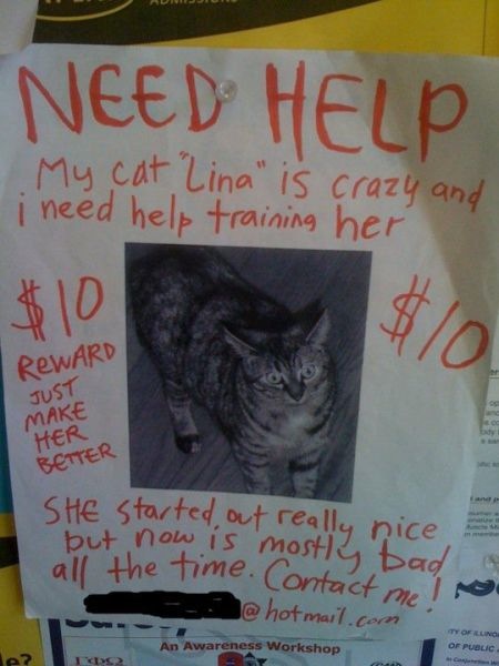 Bildschirmarbeiter - Picdump 12.11.2010