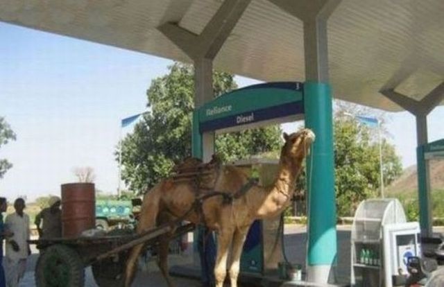 Bildschirmarbeiter - Picdump 12.11.2010