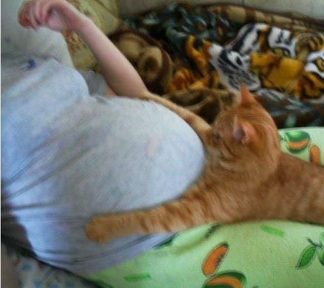 Bildschirmarbeiter - Picdump 12.11.2010