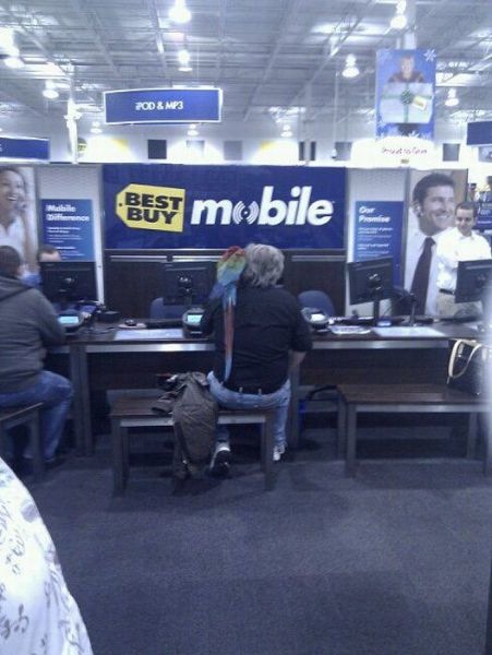 Bildschirmarbeiter - Picdump 12.11.2010