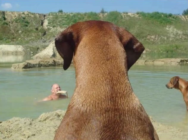 Bildschirmarbeiter - Picdump 12.11.2010