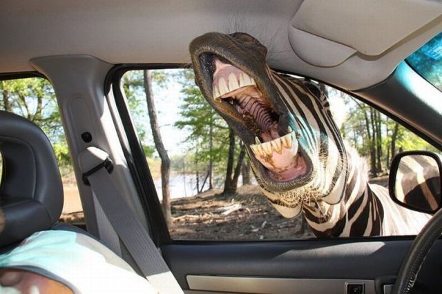 Bildschirmarbeiter - Picdump 10.12.2010