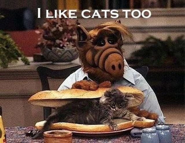 Bildschirmarbeiter - Picdump 10.12.2010