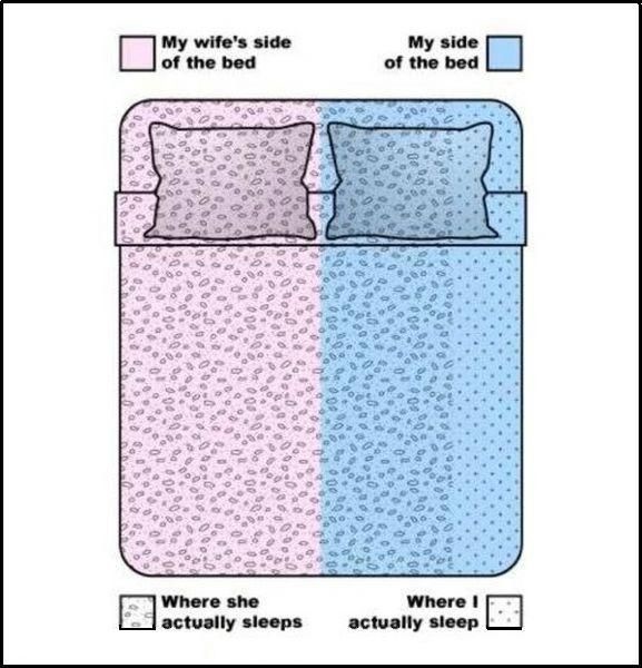 Bildschirmarbeiter - Picdump 10.12.2010