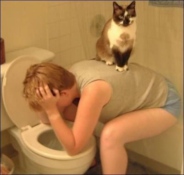 Bildschirmarbeiter - Picdump 17.12.2010