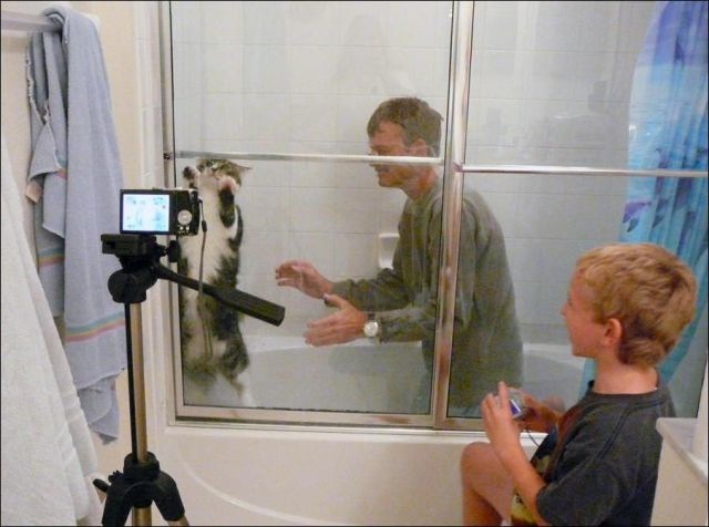 Bildschirmarbeiter - Picdump 17.12.2010