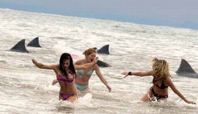 Bildschirmarbeiter - Picdump 17.12.2010