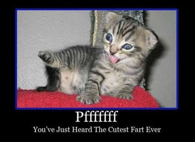 Bildschirmarbeiter - Picdump 17.12.2010