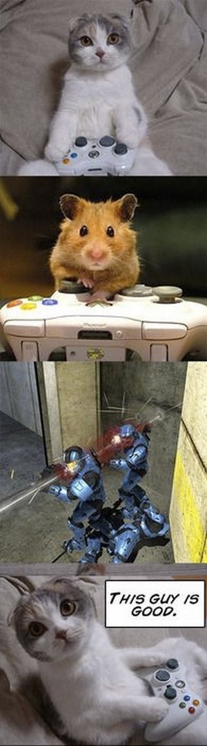 Bildschirmarbeiter - Picdump 17.12.2010