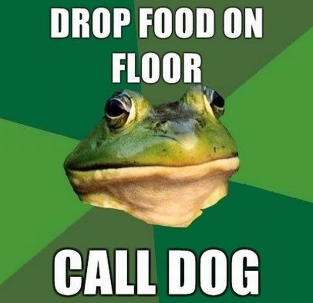 Bildschirmarbeiter - Picdump 17.12.2010