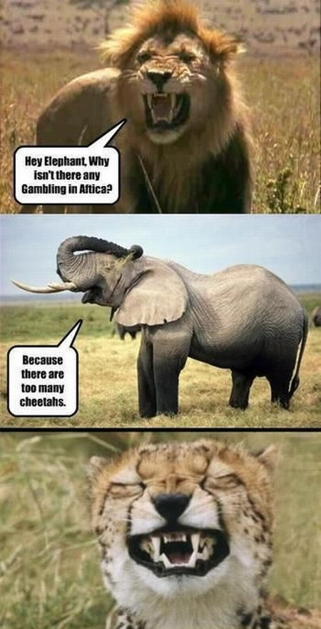 Bildschirmarbeiter - Picdump 17.12.2010