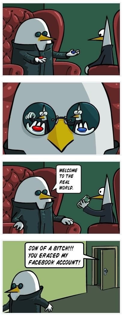 Bildschirmarbeiter - Picdump 17.12.2010