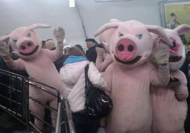 Bildschirmarbeiter - Picdump 17.12.2010