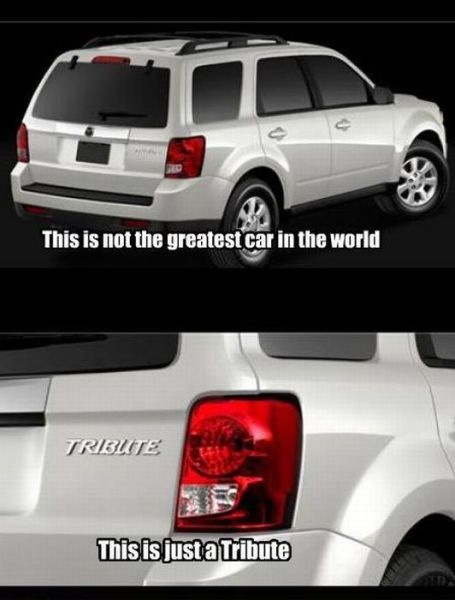 Bildschirmarbeiter - Picdump 24.12.2010