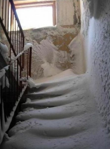 Bildschirmarbeiter - Picdump 24.12.2010