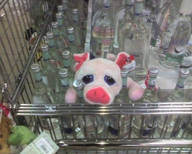 Bildschirmarbeiter - Picdump 24.12.2010