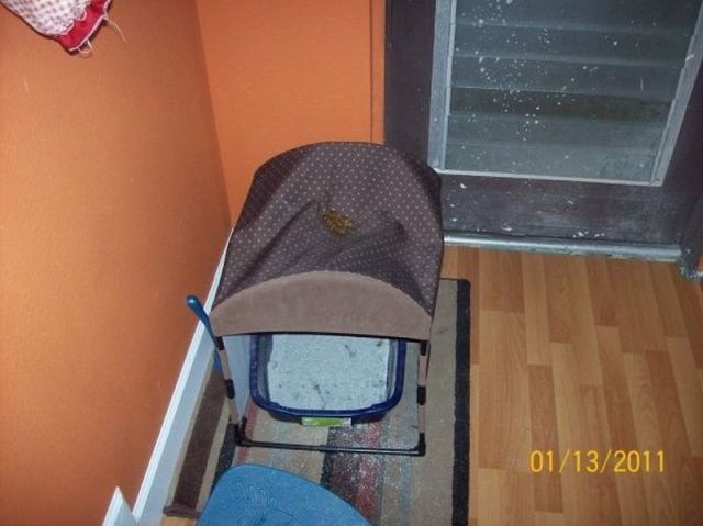 Bildschirmarbeiter - Picdump 21.01.2011