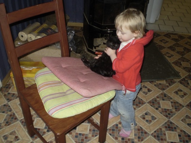 Bildschirmarbeiter - Picdump 21.01.2011