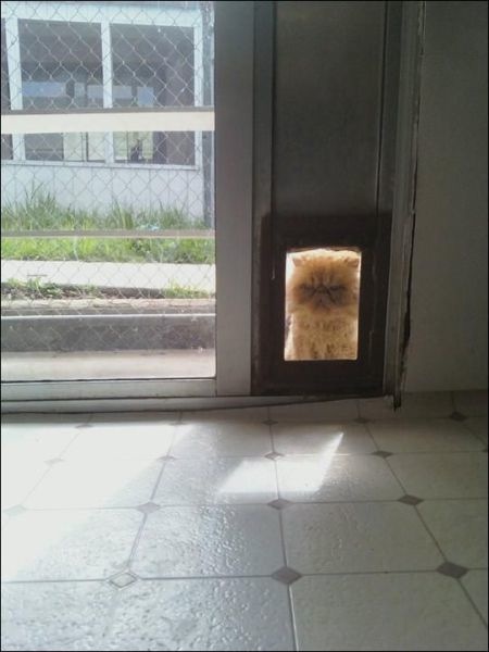 Bildschirmarbeiter - Picdump 21.01.2011