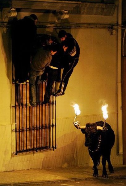 Bildschirmarbeiter - Picdump 21.01.2011