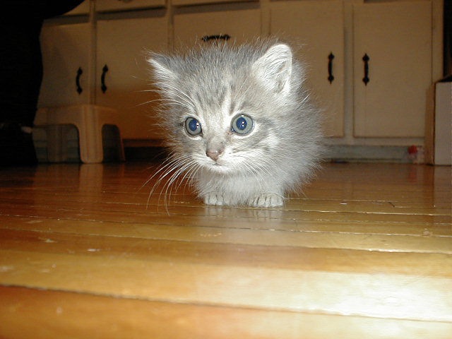 Bildschirmarbeiter - Picdump 28.01.2011