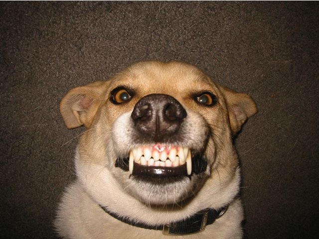 Bildschirmarbeiter - Picdump 28.01.2011