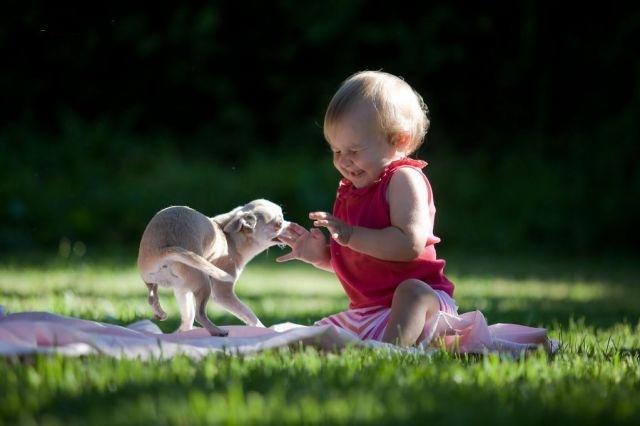 Bildschirmarbeiter - Picdump 28.01.2011