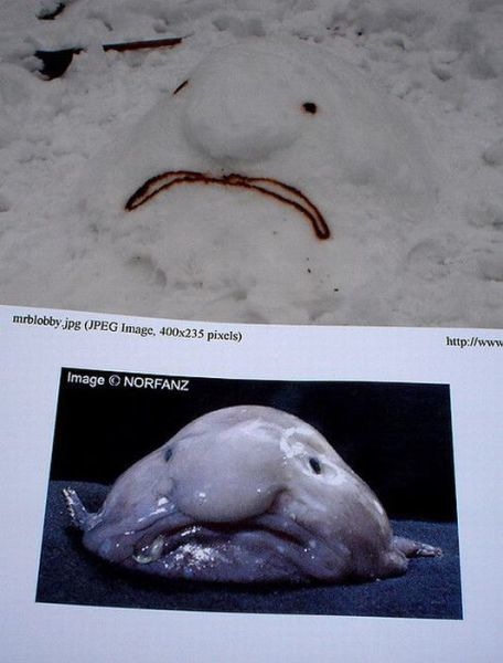 Bildschirmarbeiter - Picdump 28.01.2011