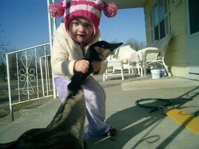 Bildschirmarbeiter - Picdump 28.01.2011