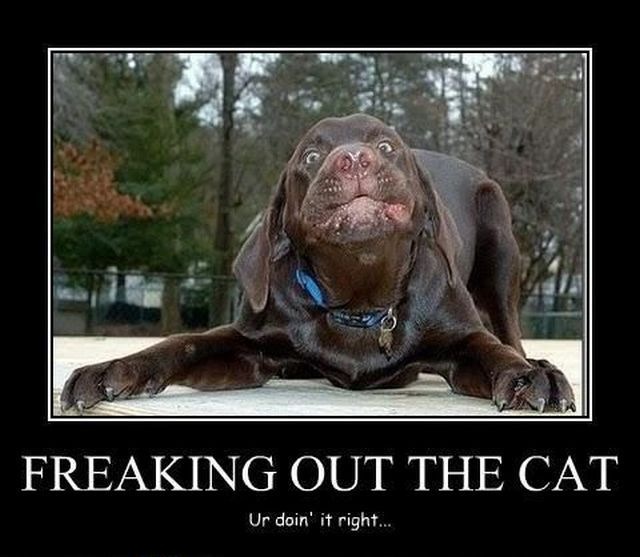 Bildschirmarbeiter - Picdump 28.01.2011