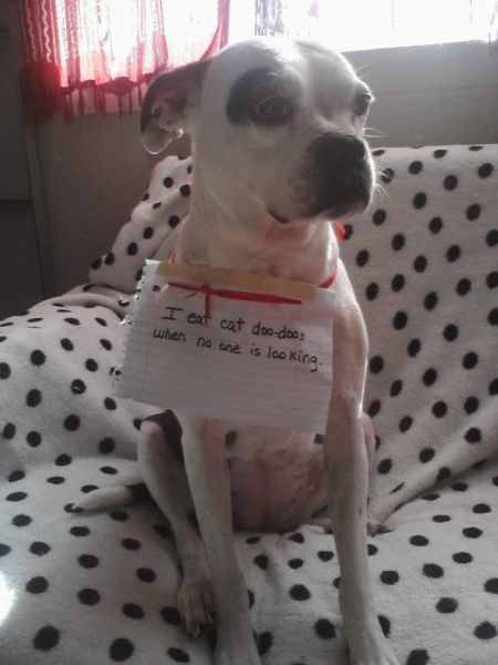 Bildschirmarbeiter - Picdump 28.01.2011