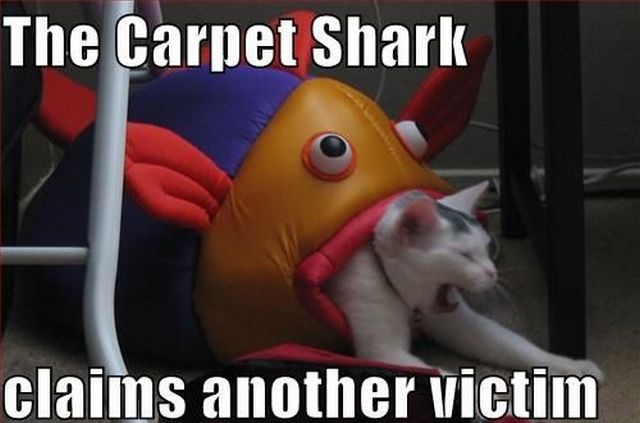 Bildschirmarbeiter - Picdump 28.01.2011