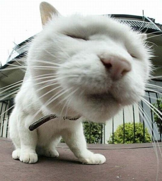 Bildschirmarbeiter - Picdump 28.01.2011