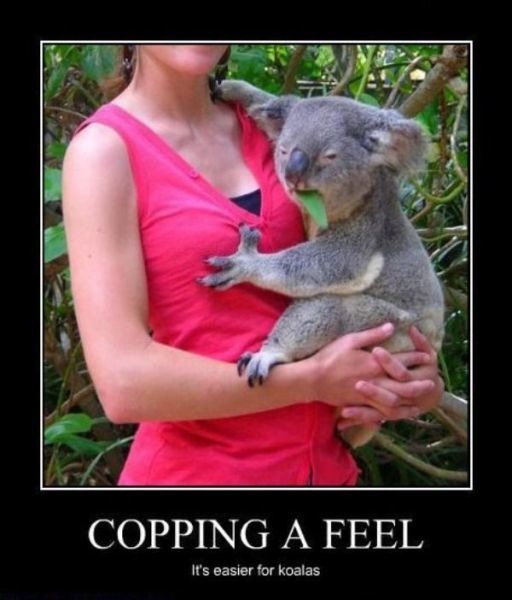 Bildschirmarbeiter Picdump 04.02.2011