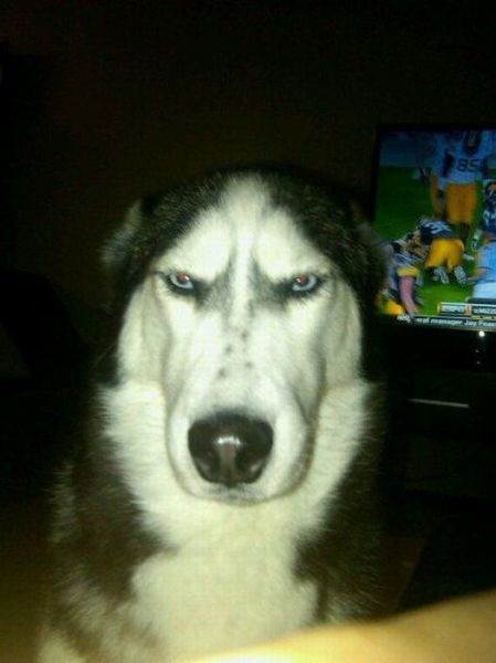 Bildschirmarbeiter Picdump 04.02.2011