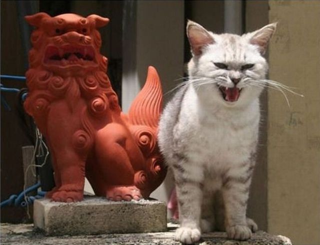 Bildschirmarbeiter Picdump 04.02.2011