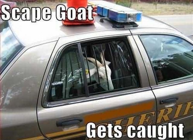 Bildschirmarbeiter Picdump 11.02.2011