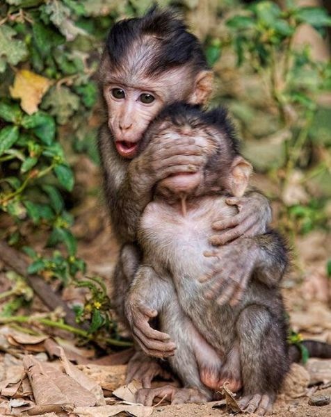 Bildschirmarbeiter Picdump 11.02.2011