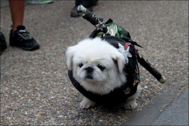 Bildschirmarbeiter - Picdump 18.02.2011