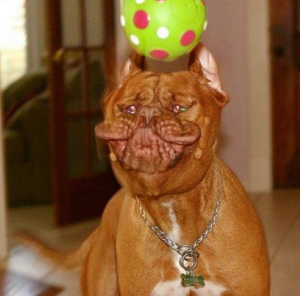 Bildschirmarbeiter - Picdump 18.02.2011