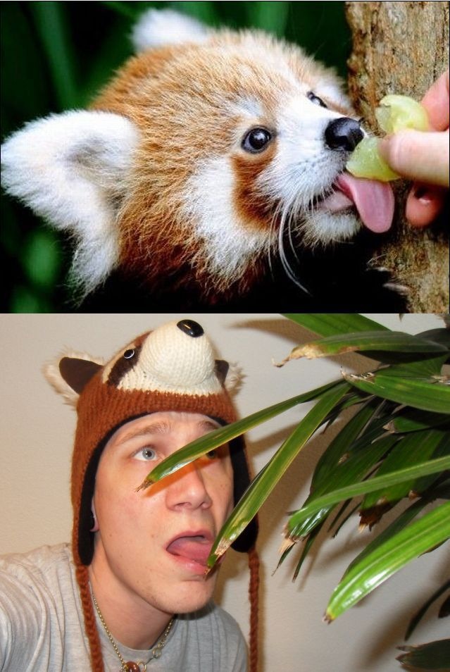 Bildschirmarbeiter - Picdump 18.02.2011