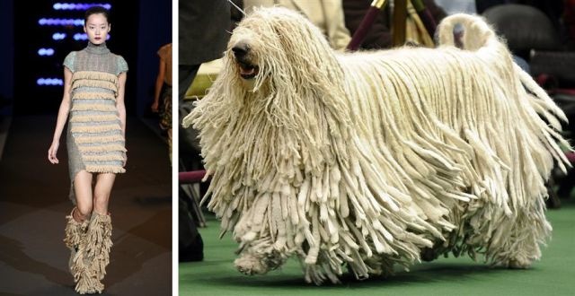 Bildschirmarbeiter - Picdump 18.02.2011