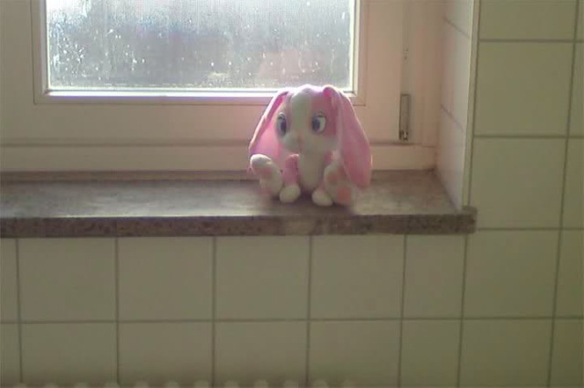 Bildschirmarbeiter - Picdump 18.02.2011